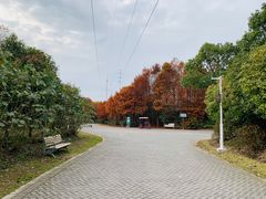 -上海海湾国家森林公园