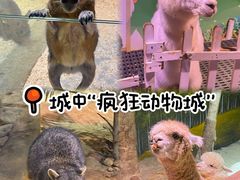 -正佳雨林生态植物园