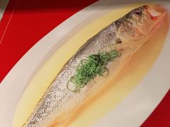 鸡油大黄鱼-玫瑰厅上海菜(兴国路店)