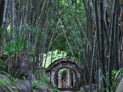 -老木棉·匠园
