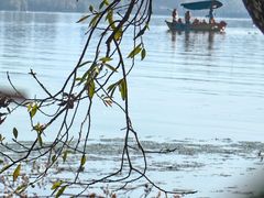 -西昌邛海湿地