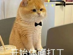-老苏扬饭店