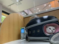 -联合动物医院(光谷诊疗中心)