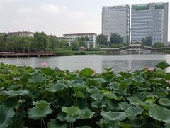 -西海子公园
