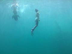 -瑞德姆美人鱼海底演艺主题餐厅(亚龙湾店)