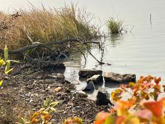 -东钱湖旅游度假区