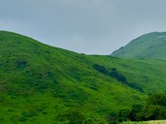 -大姆山草场