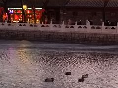 -后海公园