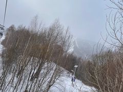 -亚布力新体委滑雪场