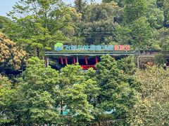 -天鹿湖森林公园