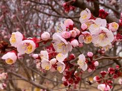 -鹫峰国家森林公园