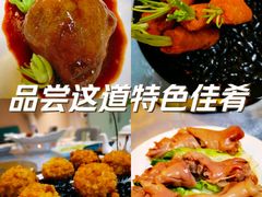 -丁老爷子苏香圆