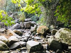 -梧桐山风景名胜区