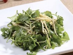 香菜干丝-菲乐餐厅(三十年经营·湖滨路店)