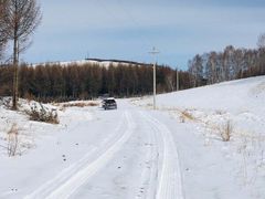 -塞罕坝国家级自然保护区