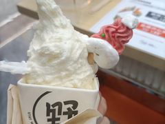 -野人先生现做冰淇淋(西安赛格店)