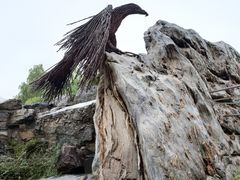 -北京西山国家森林公园