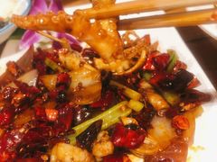 酱爆八爪鱼-福苗小骆驼烧烤(太奥广场店)