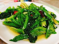 -蓝精灵饺子店