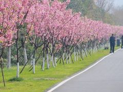 -艾溪湖湿地公园