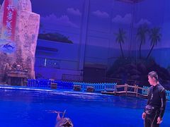 -华夏文旅海洋公园