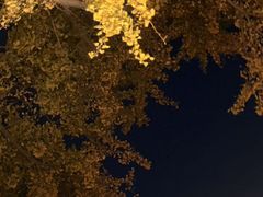 -自如ZSPACE四合院艺术餐厅