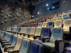 -星河寰宇IMAX影城(星河WORLD·COCO Park店)