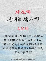 点击看大图 -玛莲朵·海菲秀冰珀科