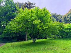 -杭州植物园