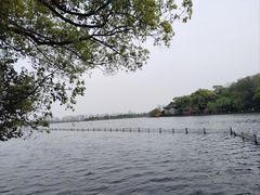 -西湖外事游船(花港观鱼码头)