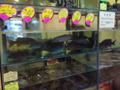 -兴旺海鲜砂煲王