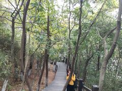 -天目湖山水园
