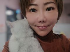 -三花喵·撸猫购宠·宠物生活馆(虹桥南丰城店)