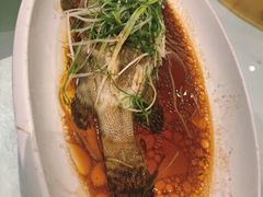 -大东海海鲜酒楼(渔人码头总店)