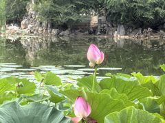 -青城公园