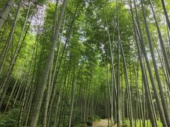 -黄公望隐居地