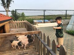 -上海崇明金茂凯悦酒店