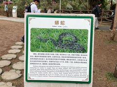 -野象谷景区