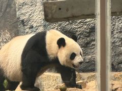 -石排湾郊野公园
