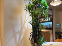 -Wagas沃歌斯(枫蓝国际店)