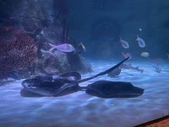 -沈阳海洋探索中心