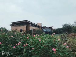 点击看大图 -雅馨国际月子中心