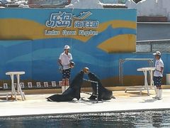 -秦皇岛乐岛海洋王国