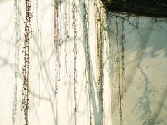 -艺圃