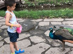 -北京麋鹿生态实验中心