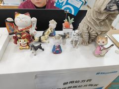 -美联众合动物医院·24h转诊中心
