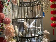 -清真·京华源铜锅涮肉(丰庆店)