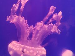 -杭州海底世界