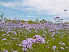 -杭州城北体育公园