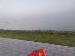 -合肥滨湖国家森林公园